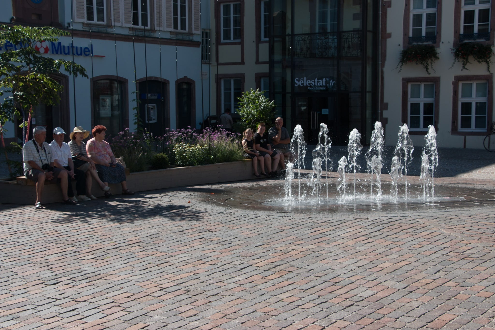 Elsass_Selestat_Corso_Fleuri_August_2016_01