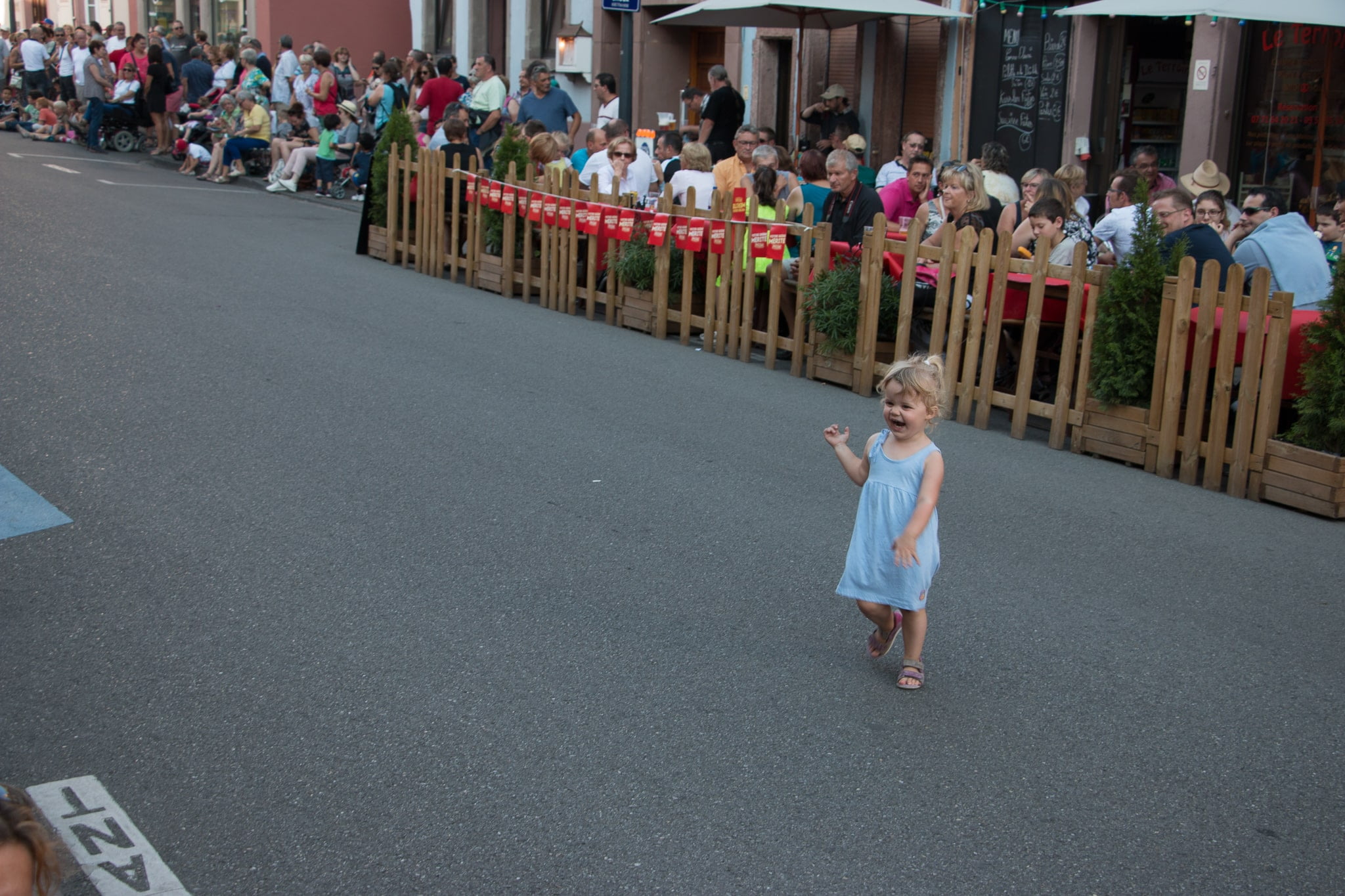 Elsass_Selestat_Corso_Fleuri_August_2016_24