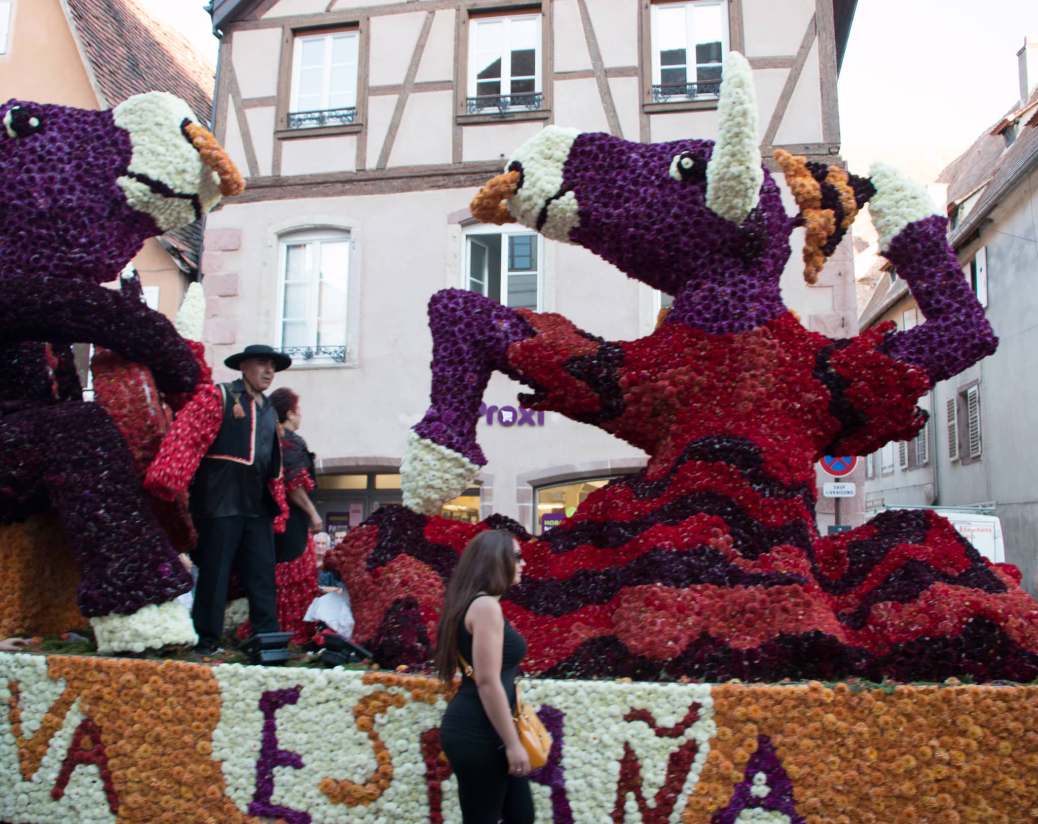 Elsass_Selestat_Corso_Fleuri_August_2016_41