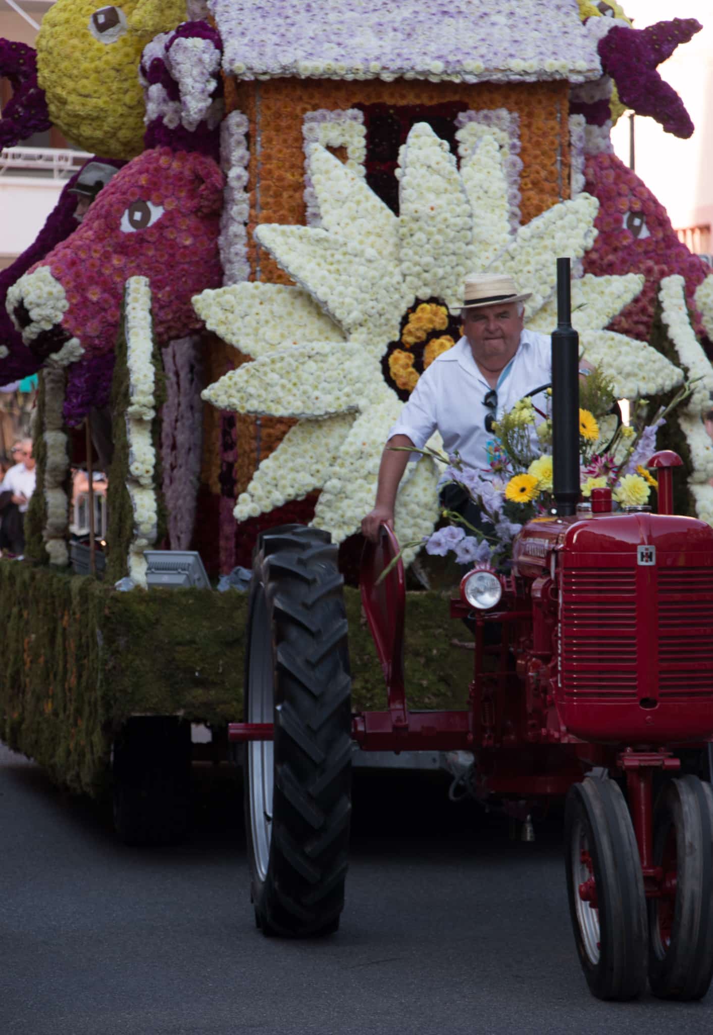 Elsass_Selestat_Corso_Fleuri_August_2016_43