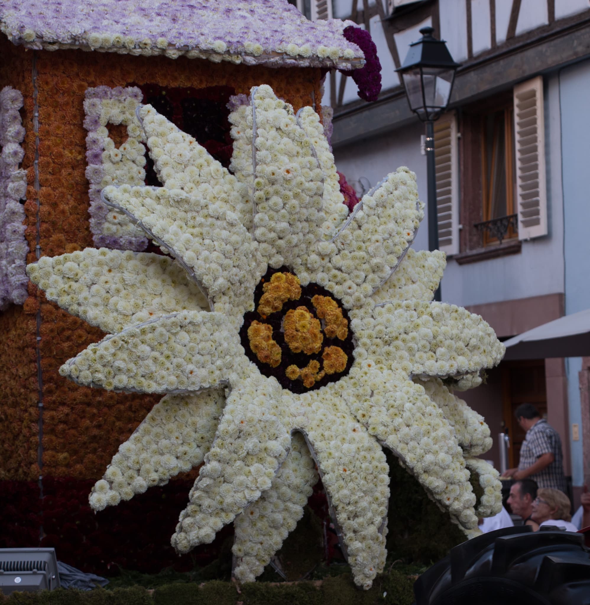 Elsass_Selestat_Corso_Fleuri_August_2016_44