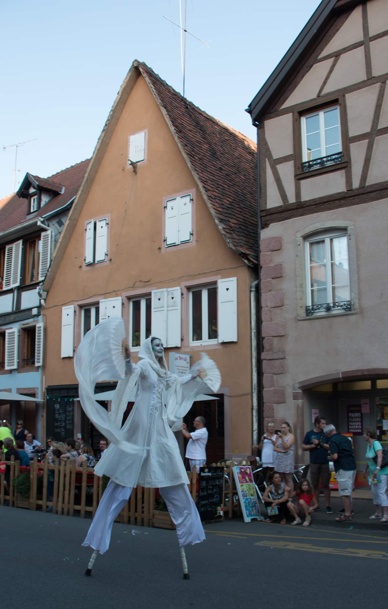 Elsass_Selestat_Corso_Fleuri_August_2016_51