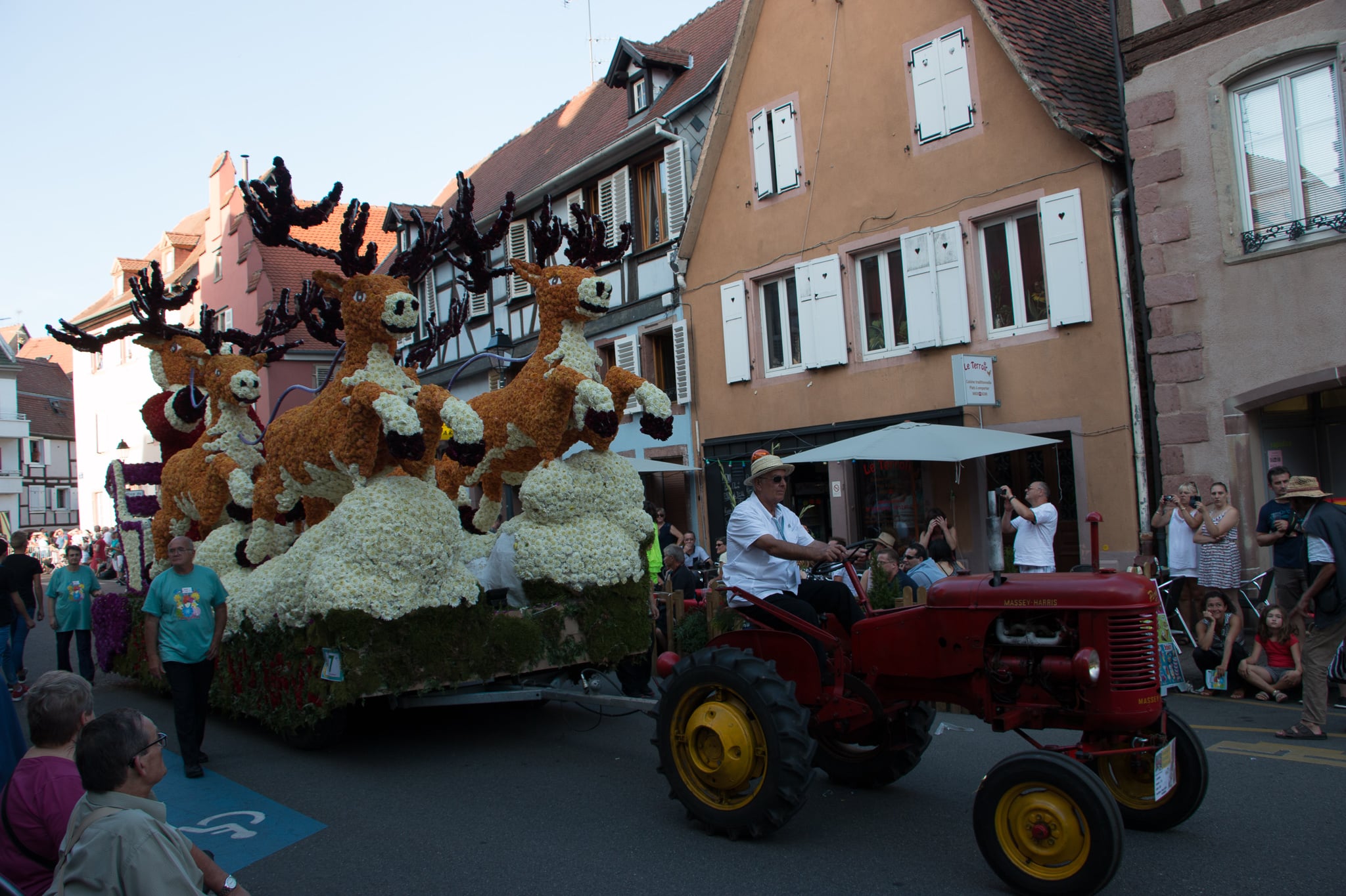 Elsass_Selestat_Corso_Fleuri_August_2016_52