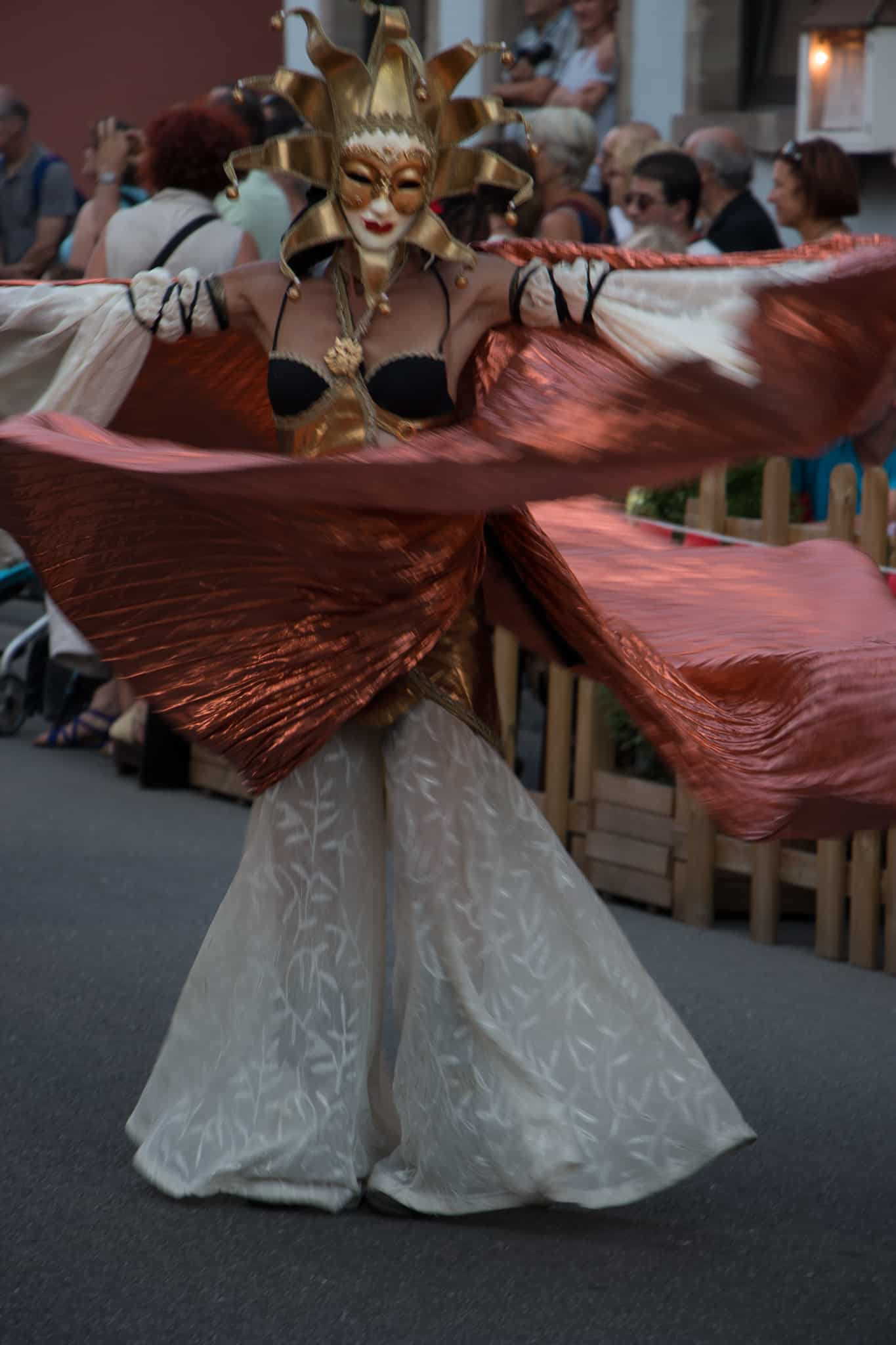 Elsass_Selestat_Corso_Fleuri_August_2016_58