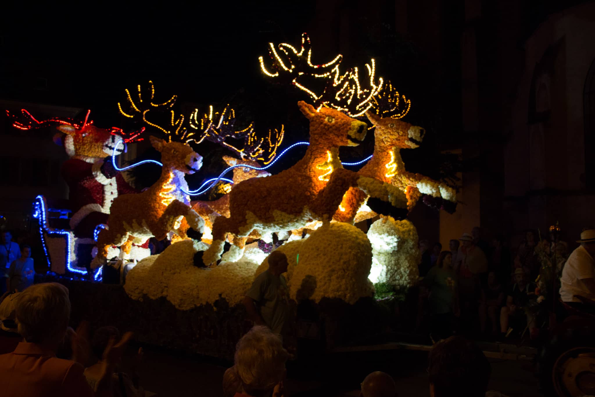 Elsass_Selestat_Corso_Fleuri_August_2016_78