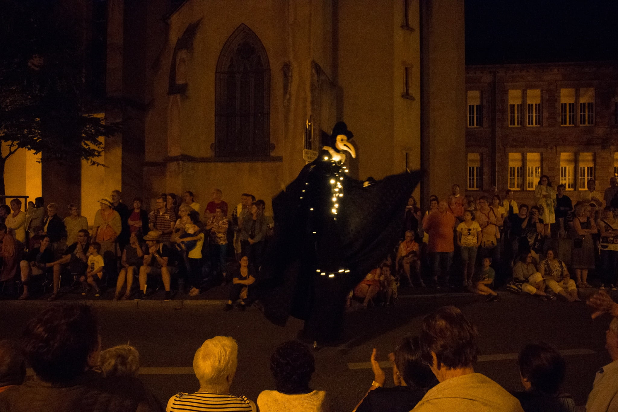 Elsass_Selestat_Corso_Fleuri_August_2016_79