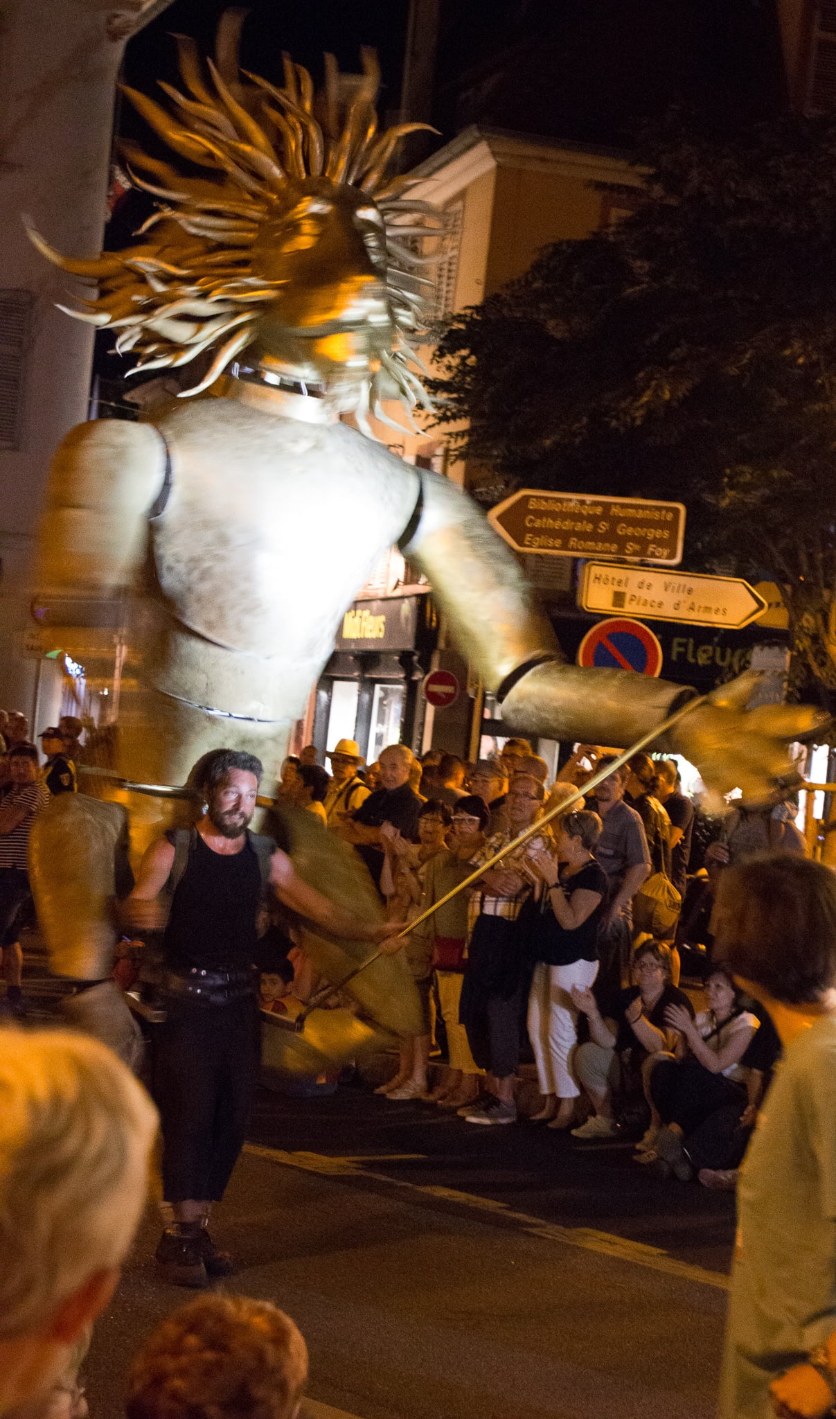 Elsass_Selestat_Corso_Fleuri_August_2016_85