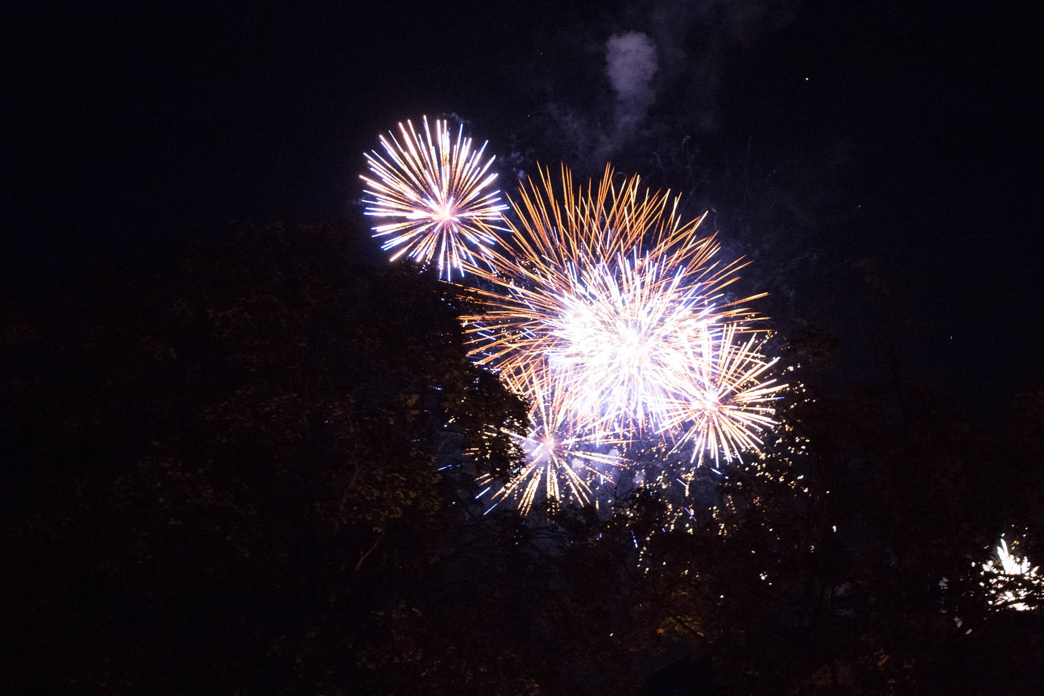 Elsass_Selestat_Corso_Fleuri_August_2016_88