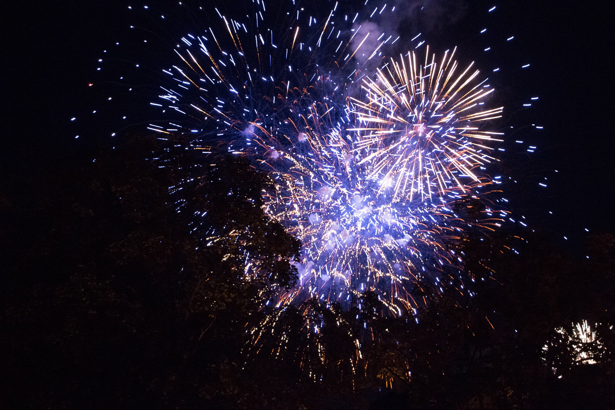 Elsass_Selestat_Corso_Fleuri_August_2016_89