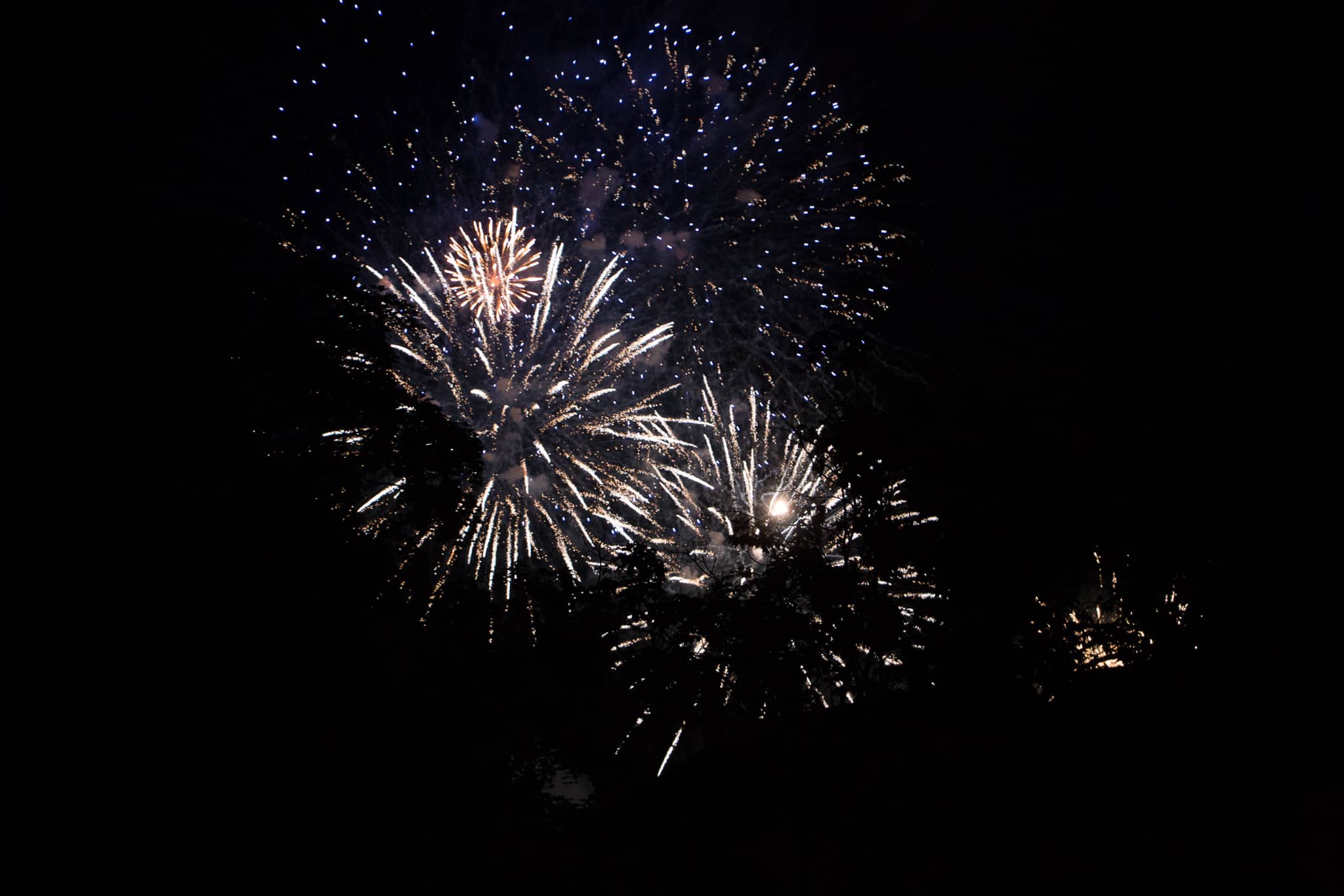 Elsass_Selestat_Corso_Fleuri_August_2016_90