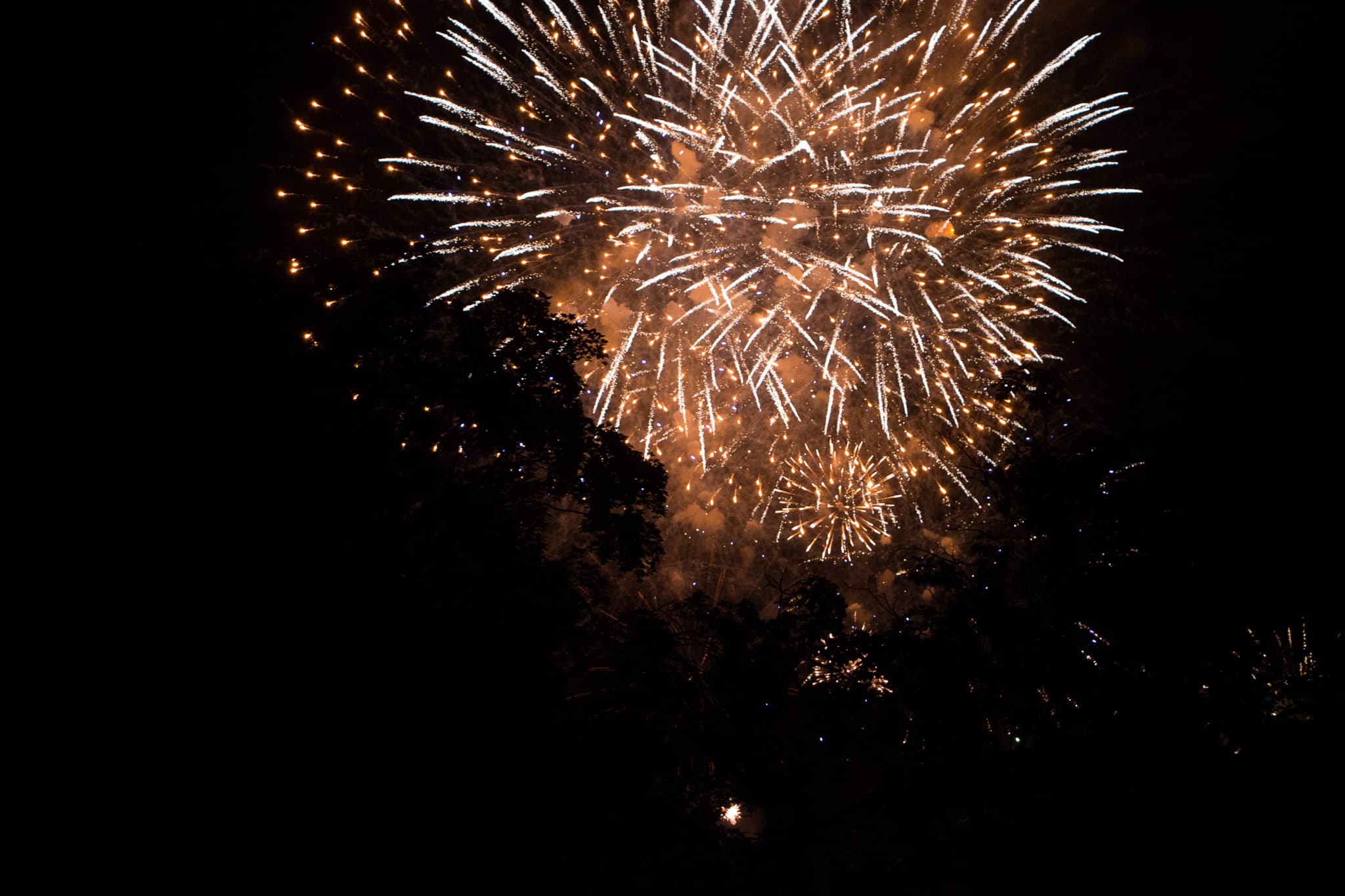 Elsass_Selestat_Corso_Fleuri_August_2016_91