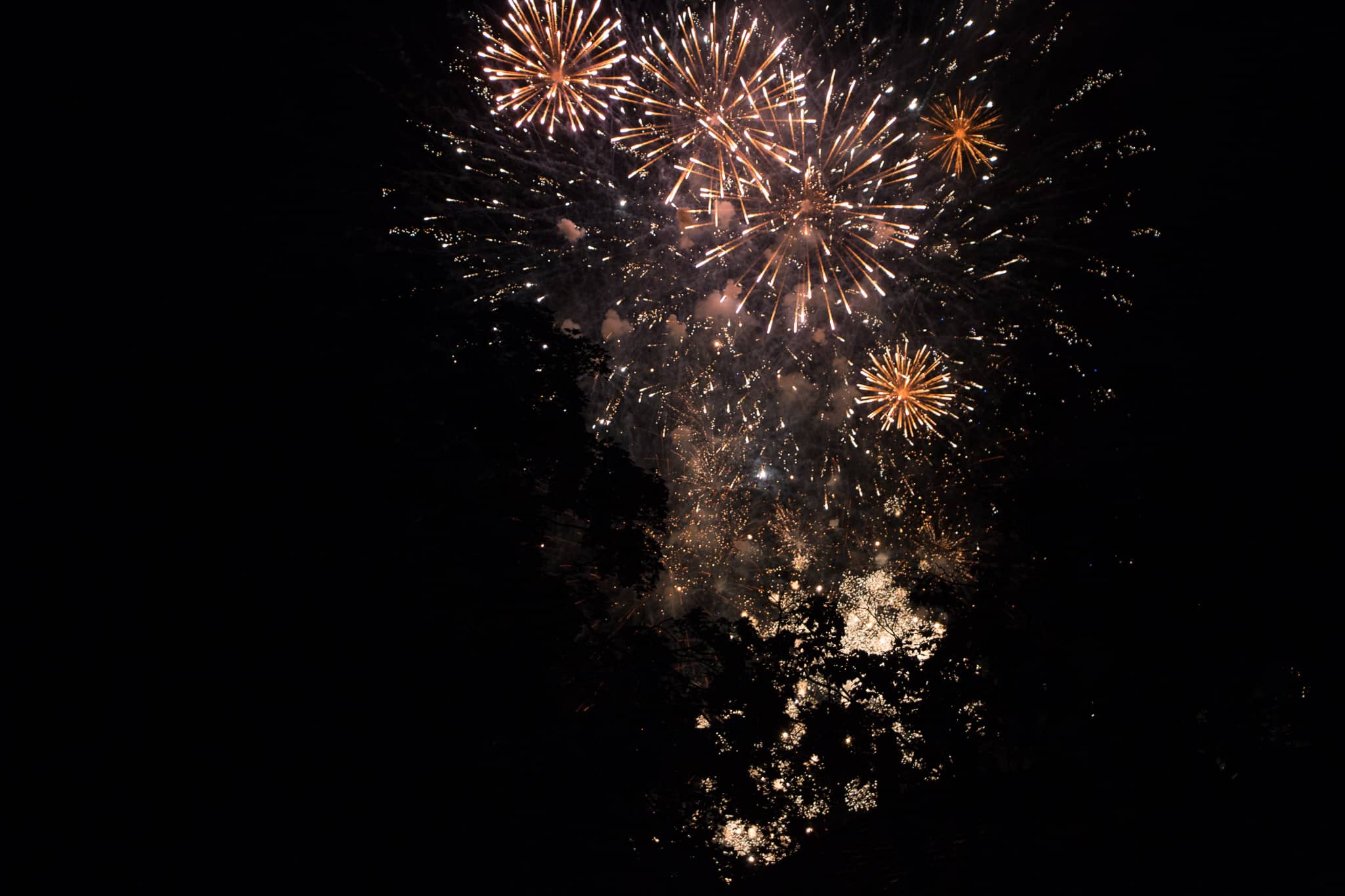 Elsass_Selestat_Corso_Fleuri_August_2016_92