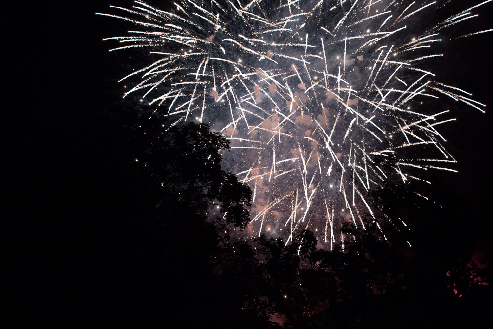 Elsass_Selestat_Corso_Fleuri_August_2016_93